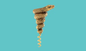 Tire-bouchon Serpent