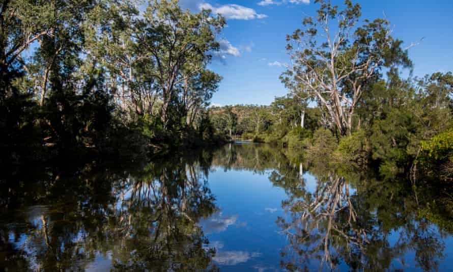 Urannah creek lined by trees