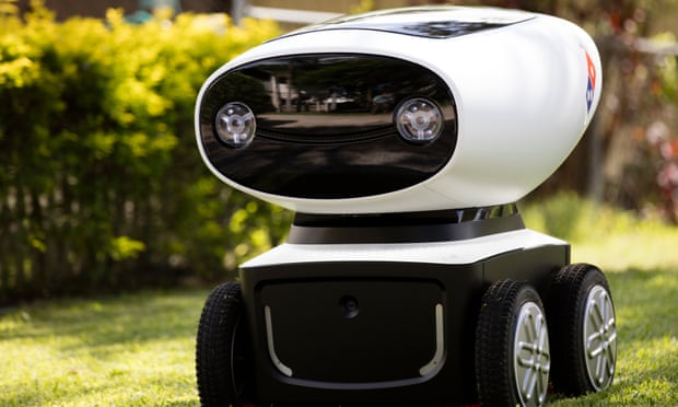 Domino’s Robotic Unit