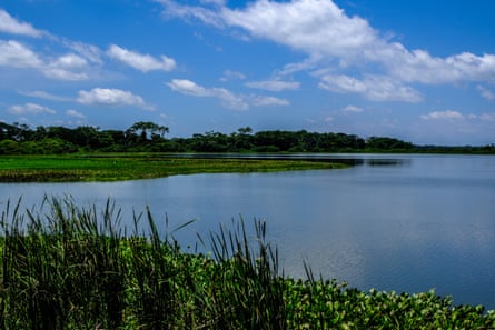 A lagoon in a grassy landscape with shrubs and trees