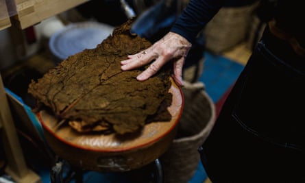 A hand resting on a large pile of flat dried leaves resting on a stool