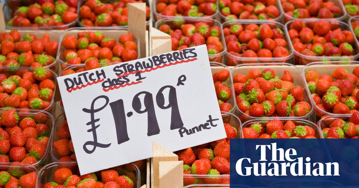 UK admits extra Â£330m a year in charges for post-Brexit animal and plant imports