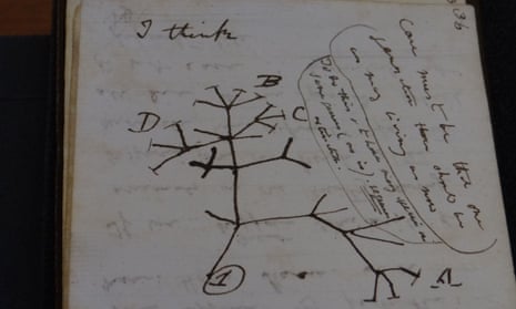 Darwin’s seminal Tree of Life sketch, headed with the words ‘I think’.