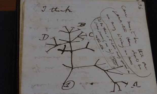 Stolen Darwin Journals Returned to Cambridge University Library