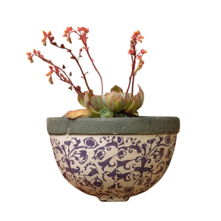 Crocus Half round aged ceramic wall planter