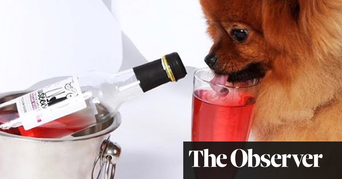 Pawsecco, anyone? Millennials splurge on pampered pets