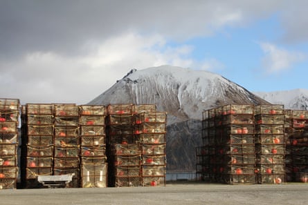 Rows of stacked crab pots at a port