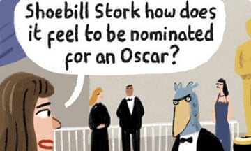 Shoebill stork at the Oscars