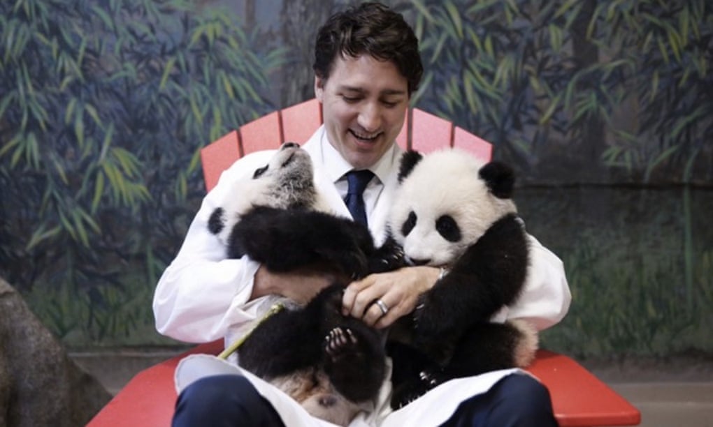 Justin Trudeau cuddles the first pandas born in Canada