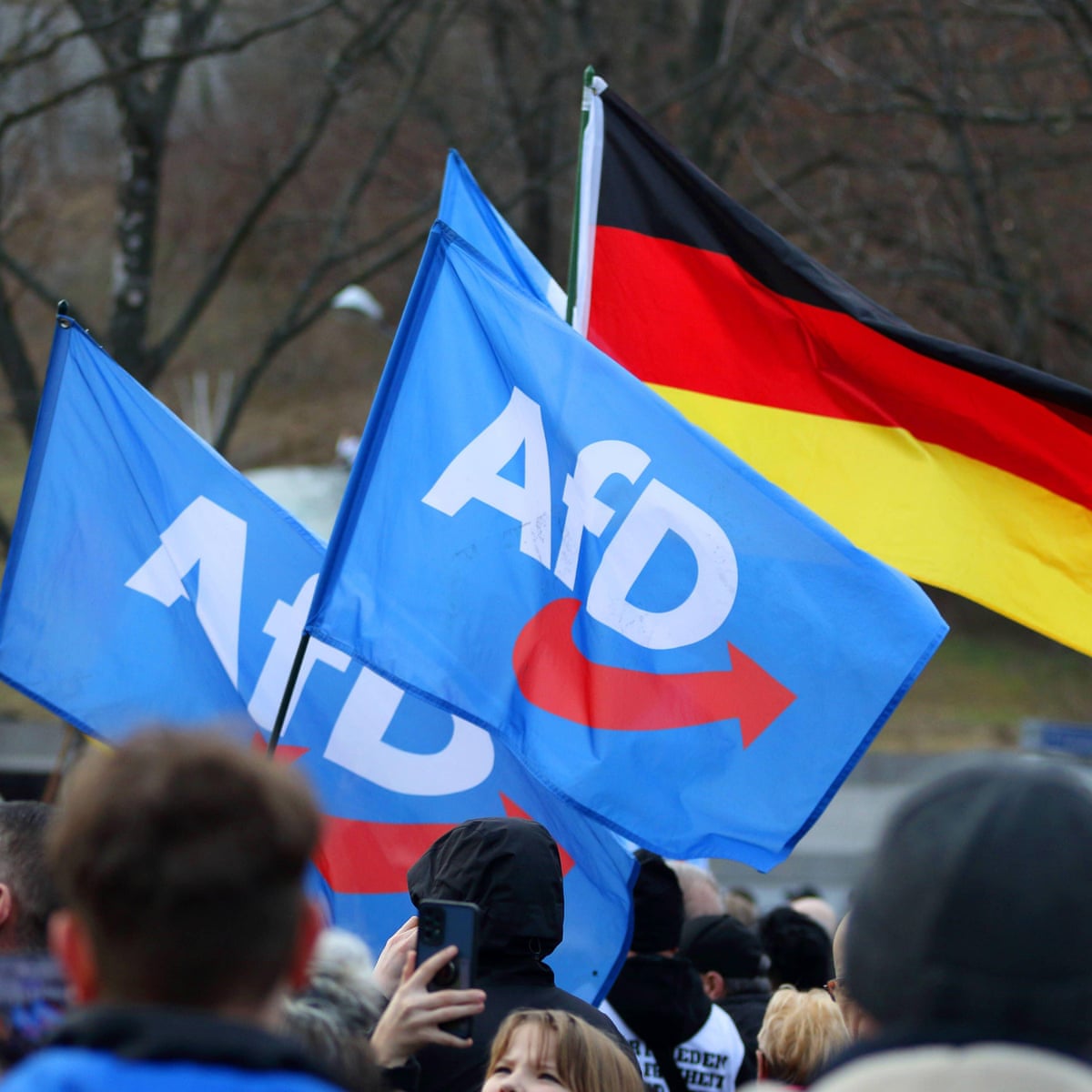 afd 5 nieuws