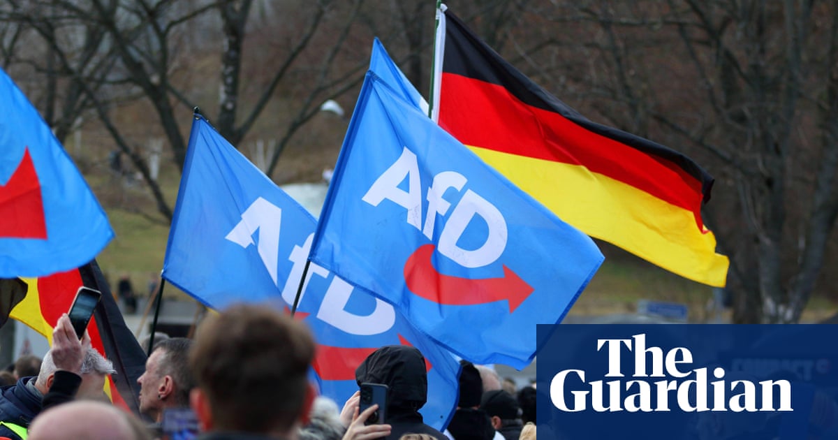 German spy agency labels AfD as confirmed rightwing extremist' force