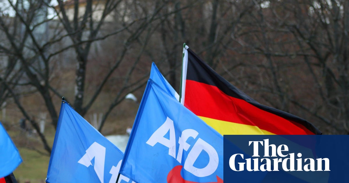 German far right setting agenda as opponents amplify its ideas, study finds
