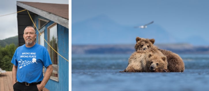 A proposed mine in Alaska will endanger brown bears – and much more 3112