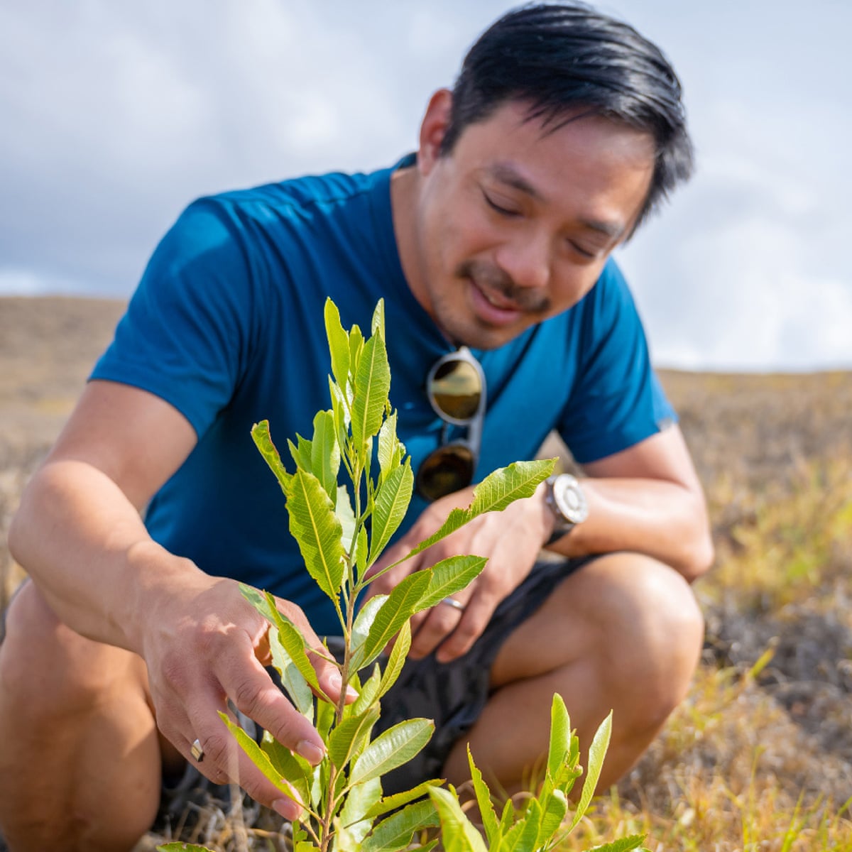 Could Planting A Trillion Trees Help Stop Global Heating This Man Thinks So Environment The Guardian