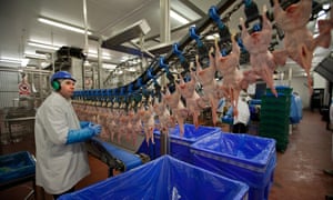 Uk Manufacturing Recovery Based On Increase In Low Skilled Jobs Finds Report Business The Guardian