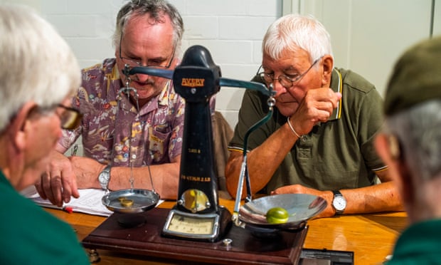 Gooseberries on the scales at the Egton Bridge show