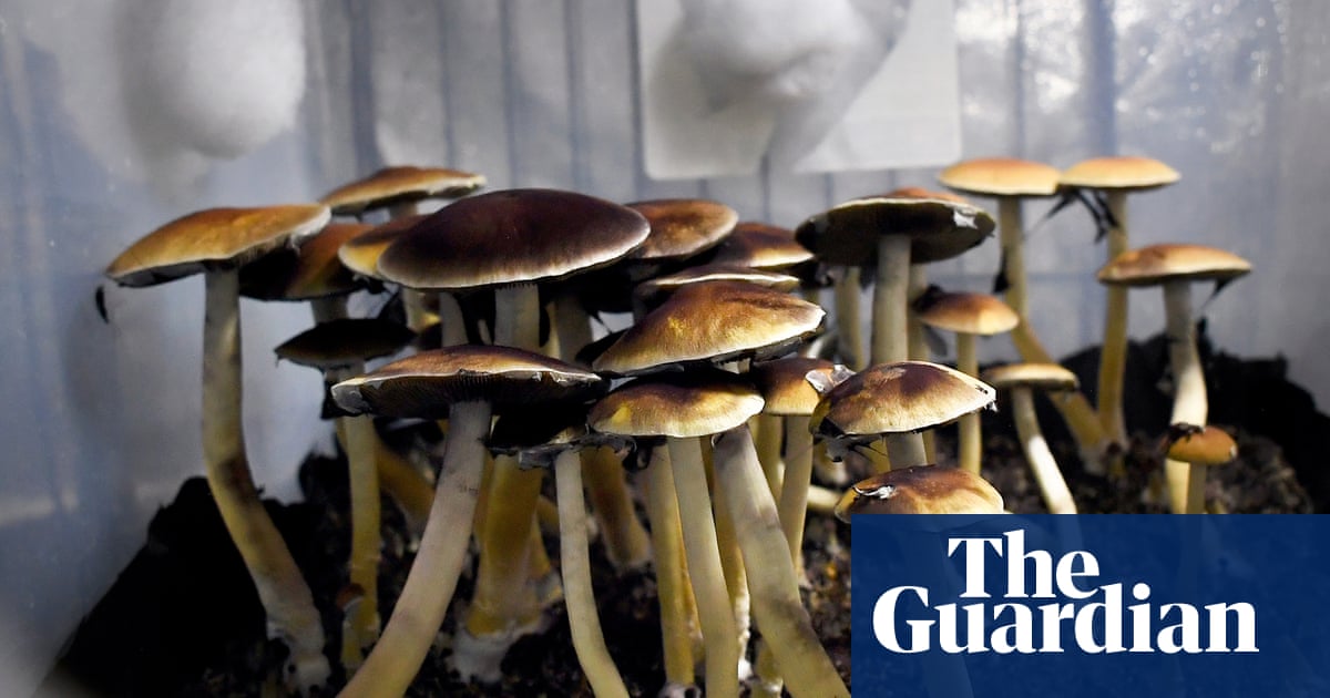Donald Trump asks for a hit of ibogaine while signing an order to make sure the real trip is the psychedelic stock portfolio of whoever was standing just off camera.