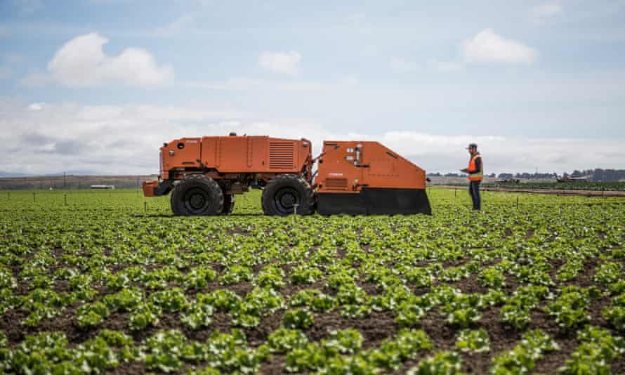 Robot de desmalezado Farmwise en un campo de cultivos