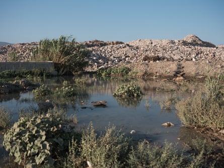 Wetlands have been severely affected by the installation of nearby dump sites.