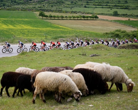 The peloton passes through farmland on the road to Vlorë.