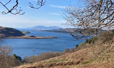 View along woodland path overlooking Kyles of Bute and Arran.