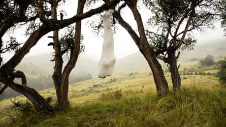 Shortlisted … Antonio Paucar Suspendido en la Quenua, 2014.