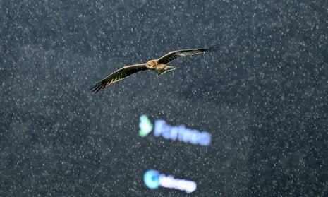 A bird of prey flies over the M. Chinnaswamy Stadium as it rains during the 2023 ICC Men’s Cricket World Cup one-day international match between New Zealand and Pakistan in Bengaluru.