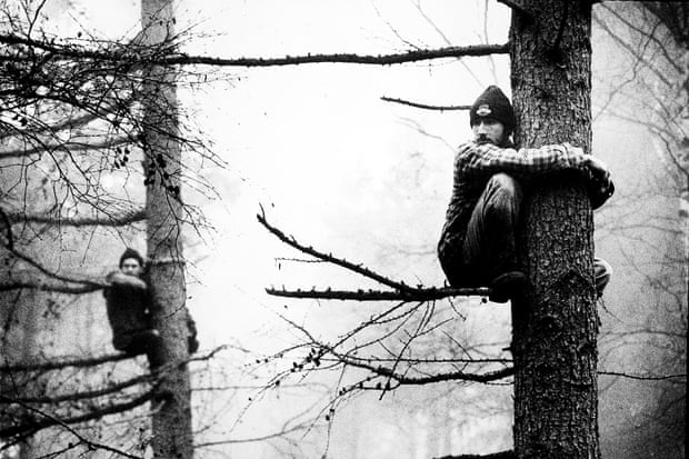 1996 Protesters occupy trees on the route of the Newbury Bypass
