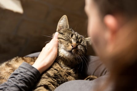 Woman cuddling with cat