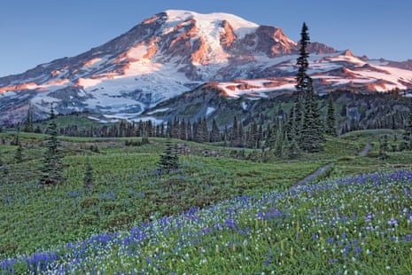 The Wonderland Trail passes through Washington’s Mount Rainier National Park and the Mazama Ridge Meadows in summer bloom.