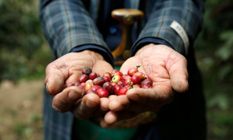 Coffee beans are red in farmer's outstretched palms. Hands and sleeves only visible in photo.