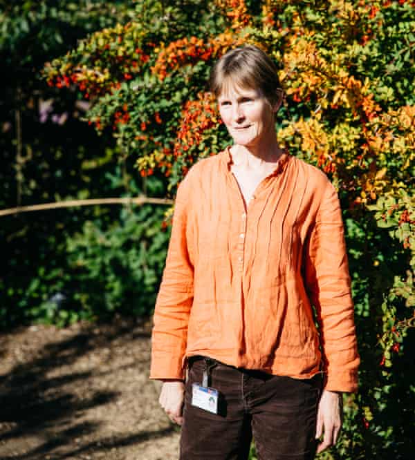 Prof Jane Memmott, University of Bristol School of Biological Sciences