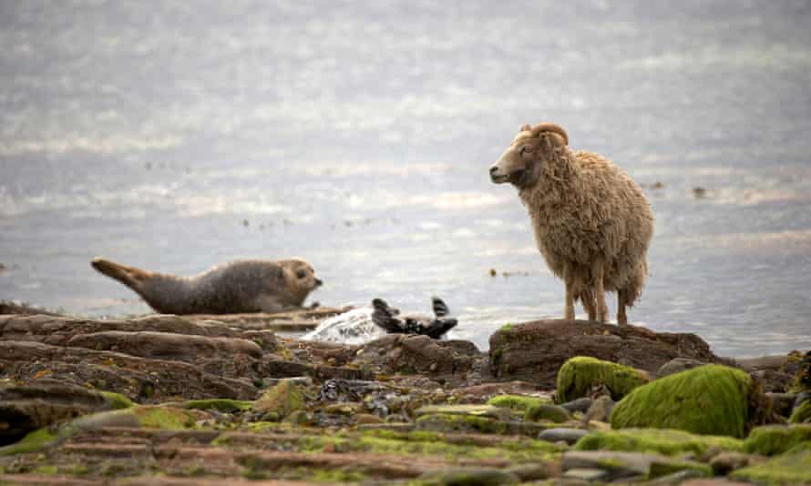 Local residents on North Ronaldsay.