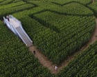 ‘When you’re in the corn, everything looks the same’: it’s fun to get lost in California’s giant corn maze