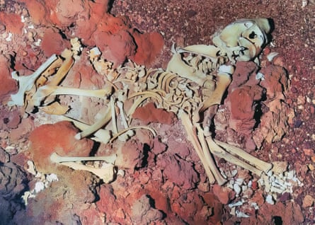 Fossil skeleton of a marsupial lion, or Thylacoleo, preserved underground