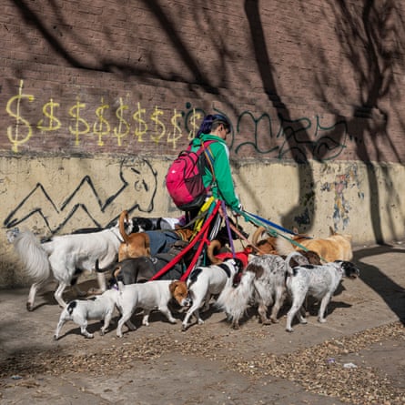 In order to make enough to match her living standards of last year, dog walker Romina has taken on two more dogs. She now walks 20. “I can’t keep increasing the price of my service because I will lose clients,” she says. “I know that walking more dogs will end up affecting my back, but I am young and choose to live in the present, for now.”