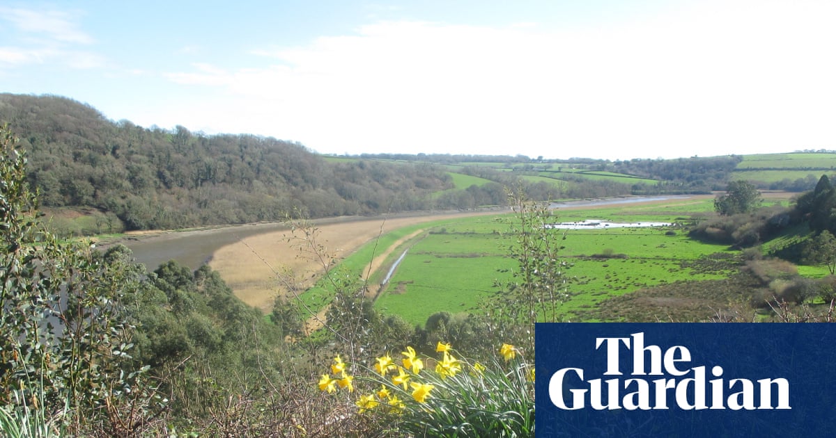 Country diary: Daffodils and chiffchaffs are here, the wet months behind us | Virginia Spiers