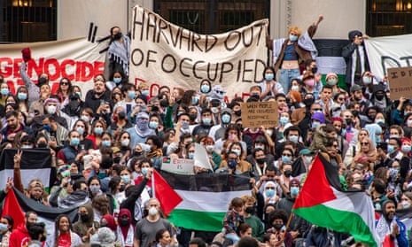 crowd with palestinian flags and sign that says 'harvard out of occupied palestine'