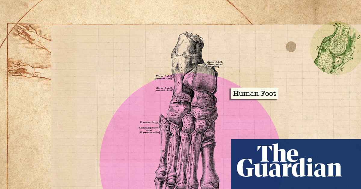 We stick them in shoes and forget about them': how to really look after your feet