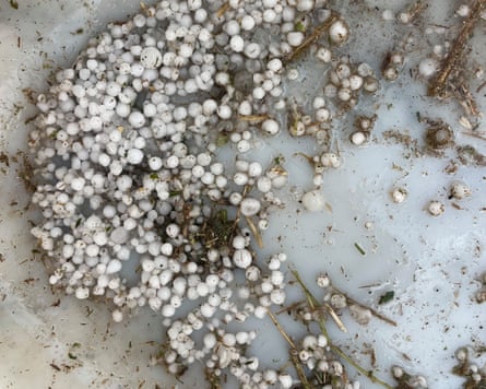 Large hailstones