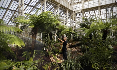Plants being watered by a horticulturist at London’s Kew Gardens, where scientists are searching for new cancer drugs