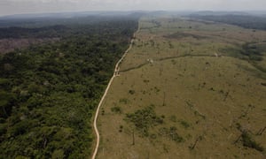 Deforestation in Brazilâ??s Para state. Stripping land wholesale, for uses such as cattle farms and coffee plantations, can affect the climate.