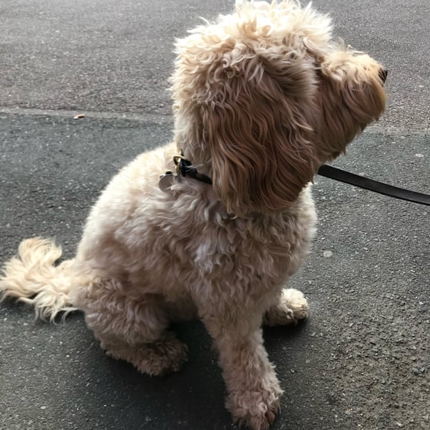 Fred at Ye Olde Rose and Crown – not looking at the camera