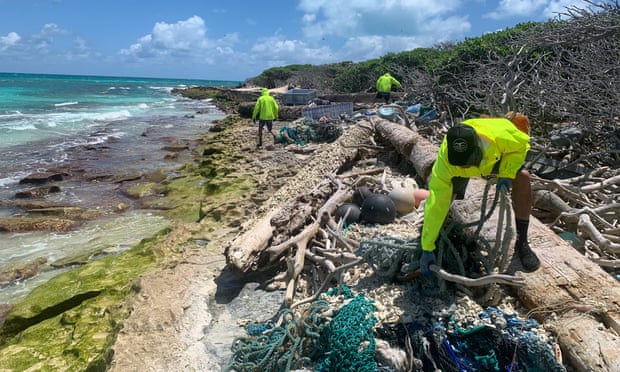 Over 47 tons of plastic found at US marine reserve – and an entangled seal Shoreline cleanup of Kapou. Photograph: Kevin O'Brien of PMDP