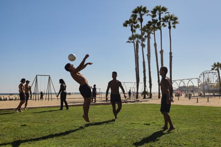 people play with ball outside in grassy area by beach, palm trees behind them