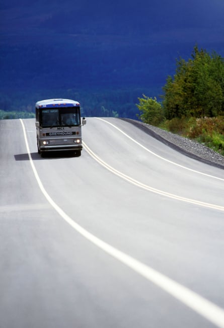 a bus drives down a road next to trees