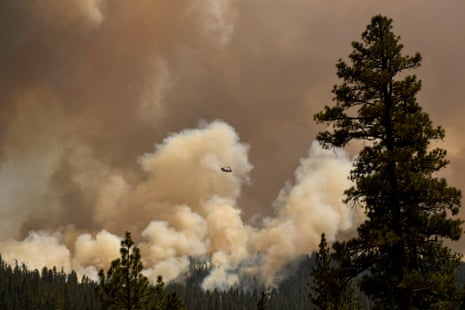 A firefighting helicopter flies past smoke plumes after making a water drop near Susanville. The findings come as fires continue to scorch California.
