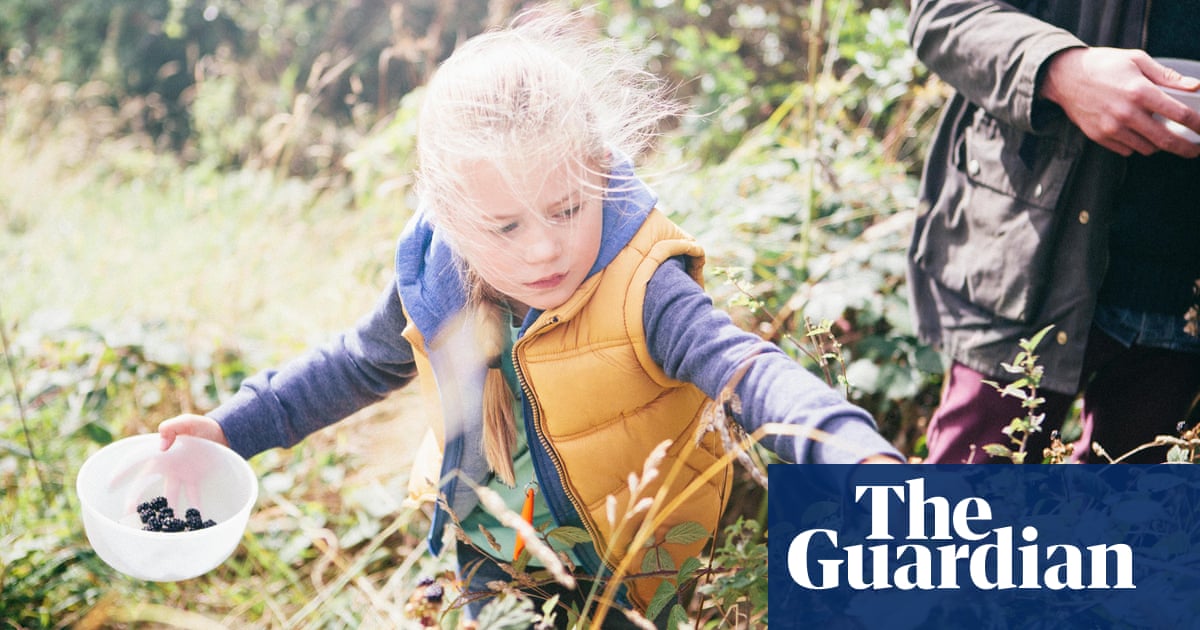 Foraging Wild Food – A Seasonal Guide Foraging Wild Food – A Seasonal Guide