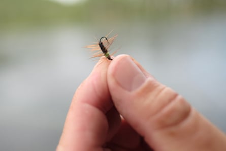 Alvdalen, Sweden: This fly is a “superpuppa” dry fly. It Imitates a hatching mayfly and is used with “dead drift” flyfishing technique that lets the current control the line.
