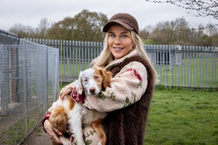 Cocker spaniel Stevie